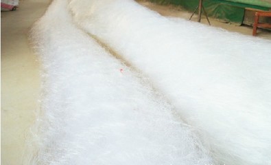 連云港潤(rùn)海漁網(wǎng)公司 提供優(yōu)質(zhì)實(shí)惠的漁網(wǎng)供應(yīng)與產(chǎn)品圖片