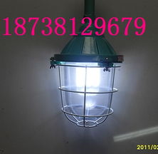 防爆冷庫(kù)燈高清圖片 高清大圖